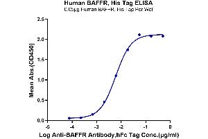 Immobilized Human BAFFR, His Tag at 0. (TNFRSF13C Protein (AA 7-71) (His tag))