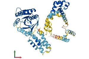 Protein Structure (PS) image for Signal Recognition Particle 54kDa (SRP54) (AA 1-504) protein (His tag) (ABIN7562876)
