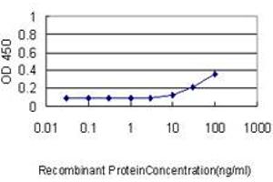 Detection limit for recombinant GST tagged REN is approximately 1ng/ml as a capture antibody. (Renin antibody  (AA 24-406))