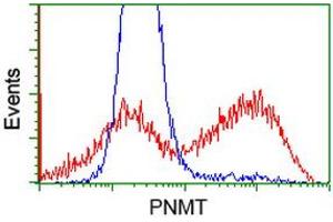 HEK293T cells transfected with either RC206586 overexpress plasmid (Red) or empty vector control plasmid (Blue) were immunostained by anti-PNMT antibody (ABIN2454518), and then analyzed by flow cytometry. (PNMT antibody)
