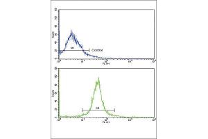Flow Cytometry (FACS) image for anti-Adiponectin Receptor 1 (ADIPOR1) antibody (ABIN3003843) (Adiponectin Receptor 1 antibody)