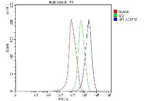 Flow Cytometry analysis of HepG2 cells using anti-Neurofibromin/NF1 antibody (ABIN7600196). (Neurofibromin 1 antibody  (AA 160-270))
