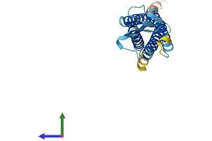 AlphaFold protein structure predicition of Mouse Recombinant Tmem37 Protein, UniprotID Q9JJV3