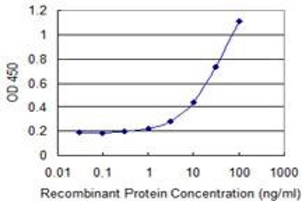 UQCR10 antibody  (AA 1-63)