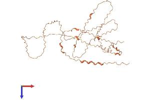EPM2A Protein (AA 1-344) (His tag)