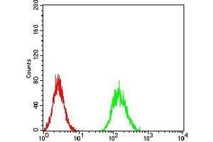 Flow Cytometry (FACS) image for anti-V-Akt Murine Thymoma Viral Oncogene Homolog 3 (Protein Kinase B, Gamma) (AKT3) (AA 37-150) antibody (ABIN5542569)