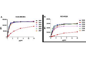 BCMA antibody  (AA 1-54)