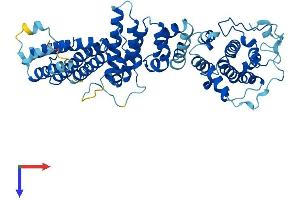 AlphaFold protein structure predicition of Human Recombinant NOC4L Protein, UniprotID Q9BVI4 (NOC4L Protein (AA 1-516) (His tag))