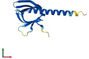 Protein Structure (PS) image for Pleckstrin Homology-Like Domain, Family A, Member 3 (PHLDA3) (AA 1-125) protein (His tag) (ABIN7556309)
