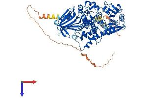 AlphaFold protein structure predicition of Human Recombinant MTMR2 Protein, UniprotID Q13614