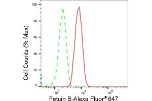 Flow cytometric analysis of Fetuin B expression in HT- cells using Fetuin B antibody (ABIN7798598), 1:2,000).