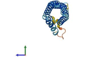 AlphaFold protein structure predicition of Human Recombinant CNIH3 Protein, UniprotID Q8TBE1 (CNIH3 Protein (AA 1-160) (His tag))