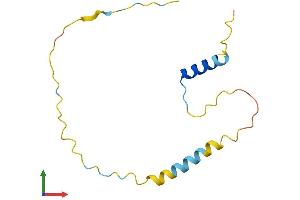 AlphaFold protein structure predicition of Human Recombinant C1orf21 Protein, UniprotID Q9H246 (C1ORF21 Protein (AA 1-121) (His tag))