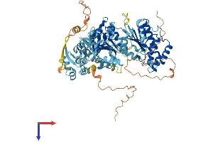AlphaFold protein structure predicition of Human Recombinant ERCC3 Protein, UniprotID P19447 (ERCC3 Protein (AA 1-782) (His tag))