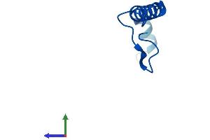 Protein Structure (PS) image for NADH Dehydrogenase (Ubiquinone) 1 beta Subcomplex, 1, 7kDa (NDUFB1) (AA 1-58) protein (Fc Tag) (ABIN7549752)