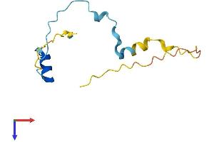 Chromosome 6 Open Reading Frame 226 (C6ORF226) (AA 1-101) protein (His tag)