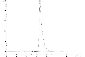 The purity of Mouse CADM1/IGSF4A is greater than 95 % as determined by SEC-HPLC. (CADM1 Protein (AA 48-388) (His tag))