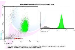 Image no. 1 for anti-Membrane Metallo-Endopeptidase (MME) antibody (APC) (ABIN1112037) (MME antibody  (APC))