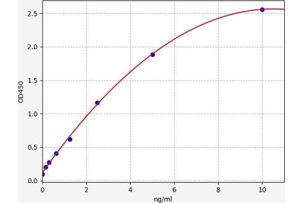 SAE1 ELISA Kit