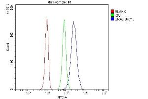 Flow Cytometry analysis of 293T cells using anti-SKA2 antibody (ABIN7603134). (FAM33A antibody  (N-Term))