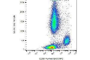 Surface staining of CD64 in human peripheral blood with anti-CD64 (10. (FCGR1A antibody)