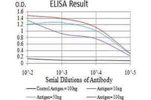 Black line: Control Antigen (100 ng);Purple line: Antigen (10ng); Blue line: Antigen (50 ng); Red line:Antigen (100 ng) (Complement C3c antibody  (AA 1521-1649))