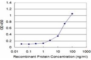 Detection limit for recombinant GST tagged RPL7 is approximately 3ng/ml as a capture antibody. (RPL7 antibody  (AA 158-248))