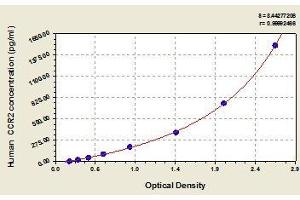 Typical standard curve (CCR2 ELISA Kit)