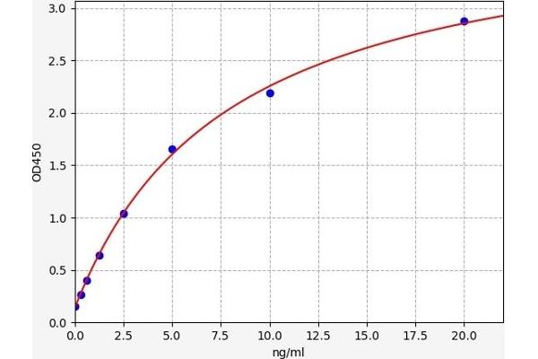 ABCC12 ELISA Kit