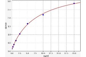 Typical standard curve (ABCC12 ELISA Kit)
