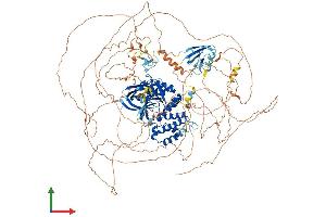 AlphaFold protein structure predicition of Mouse Recombinant Frmpd4 Protein, UniprotID A2AFR3