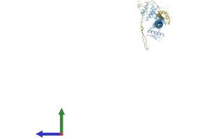 Protein Structure (PS) image for Differentially Expressed in FDCP 6 Homolog (DEF6) (AA 1-631) protein (His tag) (ABIN7553675)