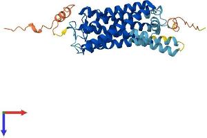 AlphaFold protein structure predicition of Human Recombinant OPN1MW3 Protein, UniprotID P0DN78 (OPN1MW3 Protein (AA 1-364) (His tag))
