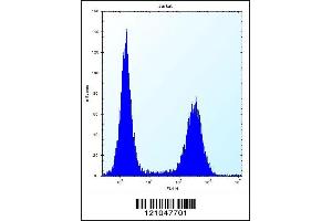 Flow cytometric analysis of Jurkat cells (right histogram) compared to a negative control cell (left histogram). (RNF11 antibody  (AA 64-90))