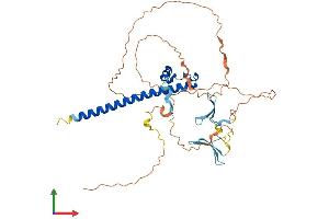 AlphaFold protein structure predicition of Human Recombinant SAV1 Protein, UniprotID Q9H4B6