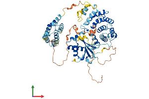 AlphaFold protein structure predicition of Human Recombinant FASTK Protein, UniprotID Q14296 (FASTK Protein (AA 1-549) (His tag))