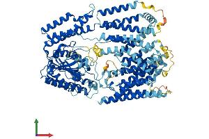 Protein Structure (PS) image for Phosphatidylinositol Glycan Anchor Biosynthesis, Class N (PIGN) (AA 1-931) protein (His tag) (ABIN7554965)