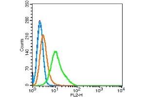 Hela cells probed with Giantin/GM130 Polyclonal Antibody, Unconjugated  at 1:100 for 30 minutes followed by incubation with a conjugated secondary (PE Conjugated) (green) for 30 minutes compared to control cells (blue), secondary only (light blue) and isotype control (orange). (Golgin B1 (GOLGB1) (AA 751-850) antibody)