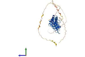 Protein Structure (PS) image for B-Cell CLL/lymphoma 3 (BCL3) (AA 1-454) protein (His tag) (ABIN7552610)