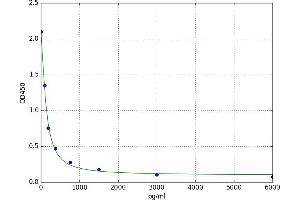Reverse Triiodothyronine T3 (rT3) ELISA Kit