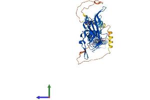 AlphaFold protein structure predicition of Human Recombinant KCNJ14 Protein, UniprotID Q9UNX9