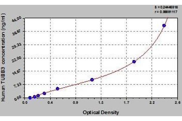 TUBB3 ELISA Kit