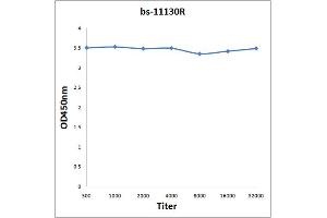 Antigen: 2 µg/100 µL Primary: Antiserum, 1:500, 1:1000, 1:2000, 1:4000, 1:8000, 1:16000, 1:32000, Secondary: HRP conjugated Rabbit Anti-Goat IgG at 1: 5000, TMB staining Read the data in Microplate Reader by 450 nm. (VAT1L antibody  (AA 321-419))