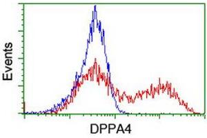 Image no. 1 for anti-Developmental Pluripotency Associated 4 (DPPA4) (AA 9-254) antibody (ABIN1491698)