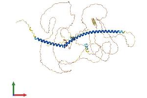 AlphaFold protein structure predicition of Mouse Recombinant Kiz Protein, UniprotID Q3UXL4