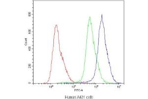 Flow Cytometry (FACS) image for anti-ATP-Binding Cassette, Sub-Family B (MDR/TAP), Member 11 (ABCB11) antibody (ABIN4949968)