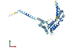 AlphaFold protein structure predicition of Human Recombinant ATAD1 Protein, UniprotID Q8NBU5