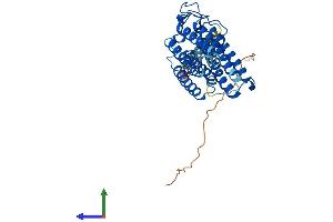 Protein Structure (PS) image for Adiponectin Receptor 1 (ADIPOR1) (AA 1-375) protein (His tag) (ABIN7551954)