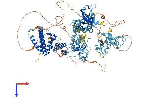 AlphaFold protein structure predicition of Human Recombinant ZC3H7A Protein, UniprotID Q8IWR0 (ZC3H7A Protein (AA 1-971) (His tag))