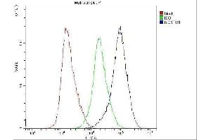 Flow Cytometry analysis of HELA cells using anti-GSTM1 antibody (ABIN5693233). (GSTM1 antibody)